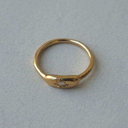 BSG ring
