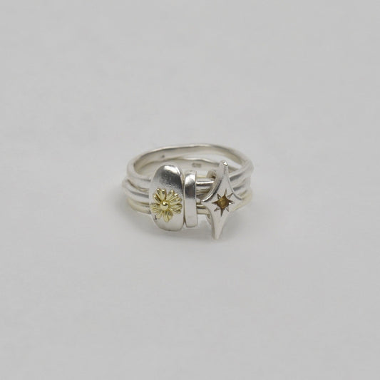 PLAC ring