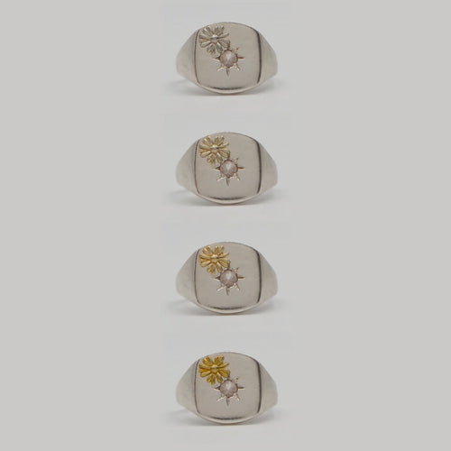Daisy motif比較画像1