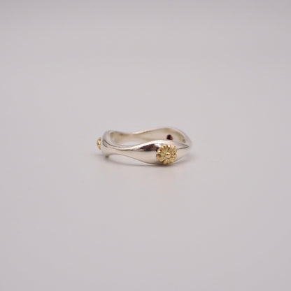 wv A ring（オプション内容が不十分バージョン）