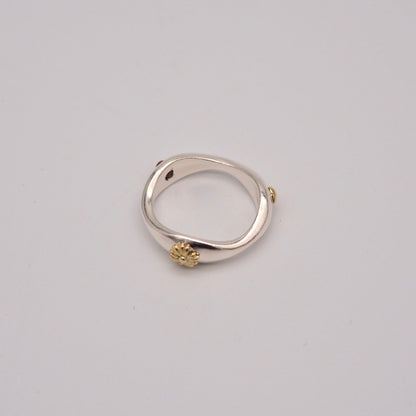 wv A ring（オプション内容が不十分バージョン）
