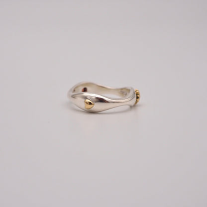 wv A ring（オプション内容が不十分バージョン）