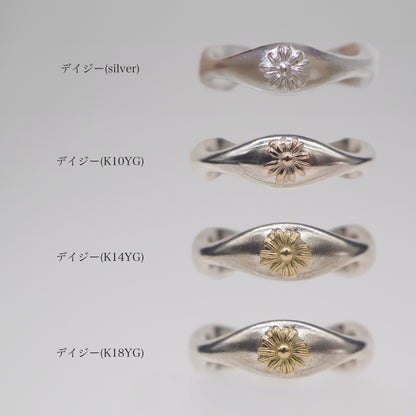 wv six ring (2ring set)