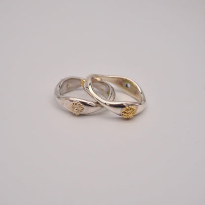 wv six ring (2ring set)